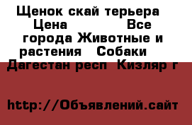 Щенок скай терьера › Цена ­ 20 000 - Все города Животные и растения » Собаки   . Дагестан респ.,Кизляр г.
